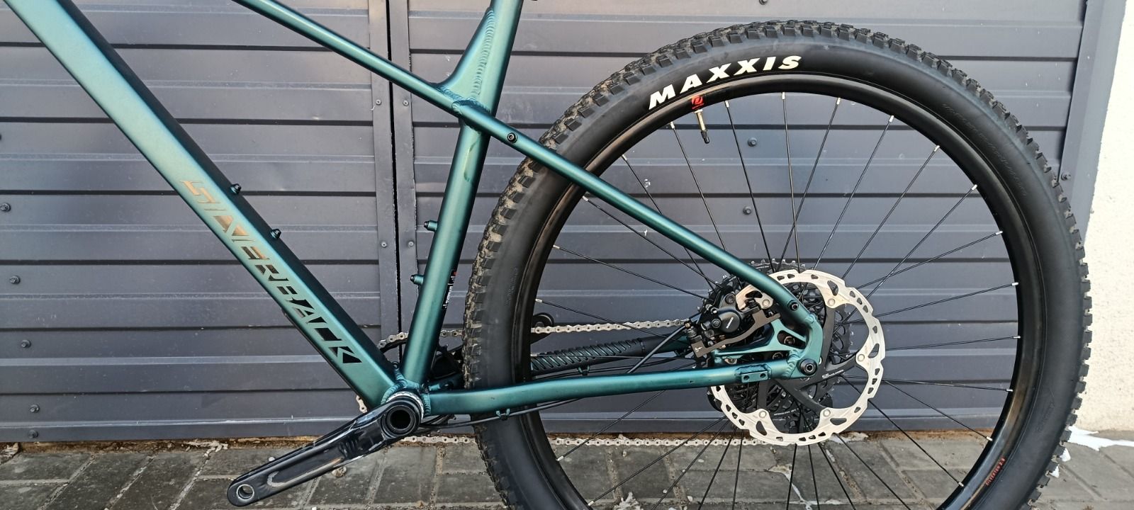 Silverback se10 2025 XL кастом