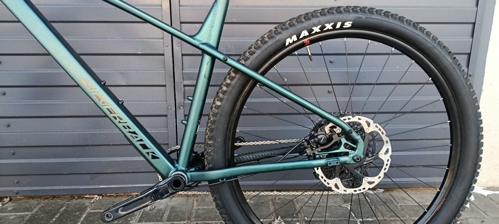 Silverback se10 2025 XL кастом