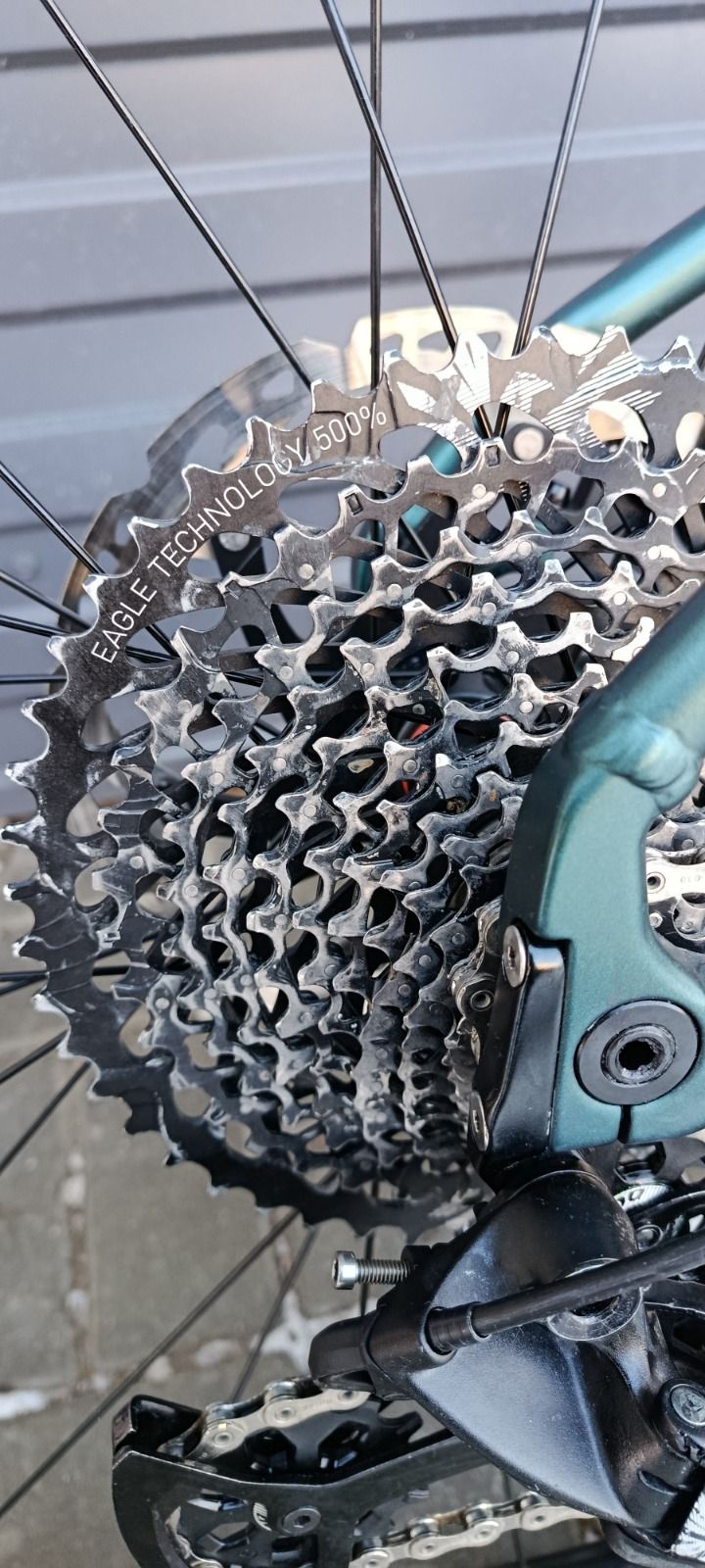 Silverback se10 2025 XL кастом