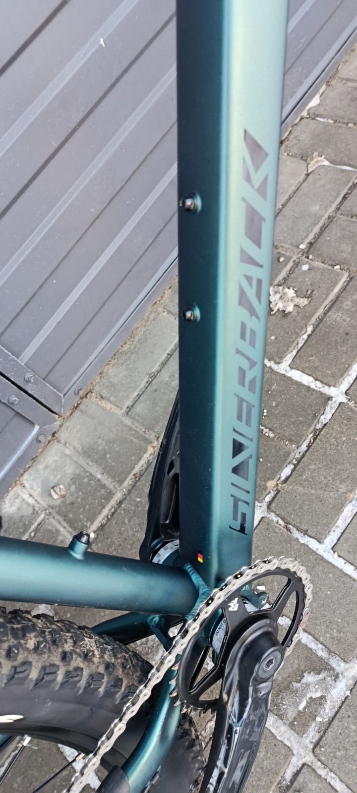 Silverback se10 2025 XL кастом