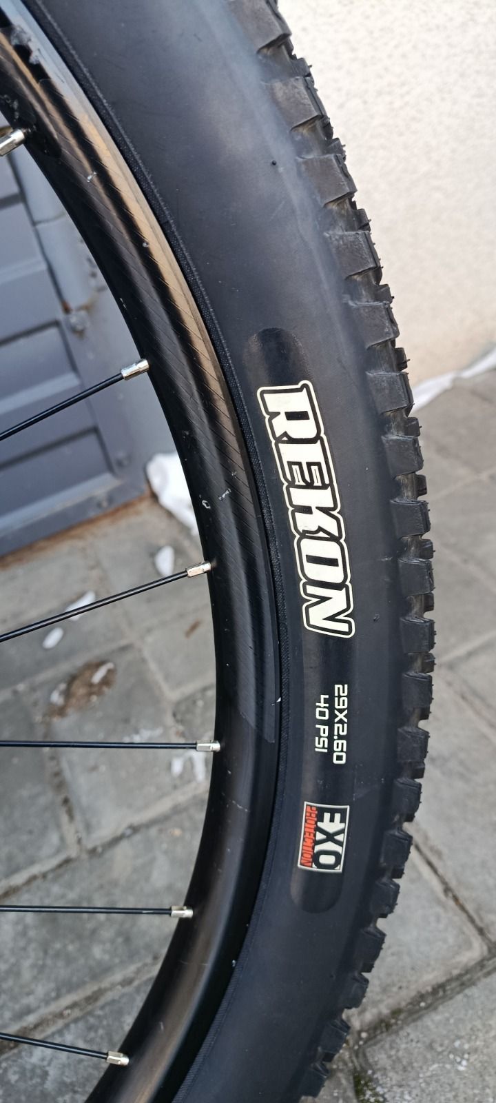 Silverback se10 2025 XL кастом