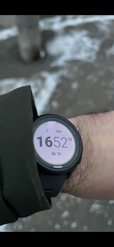 Garmin Forerunner 245