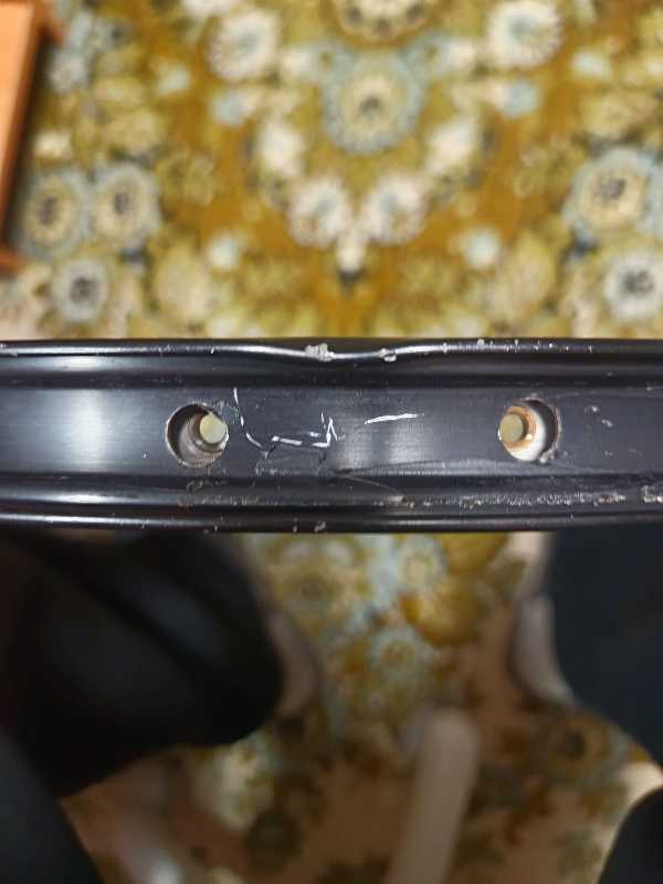 обод dt swiss 545d