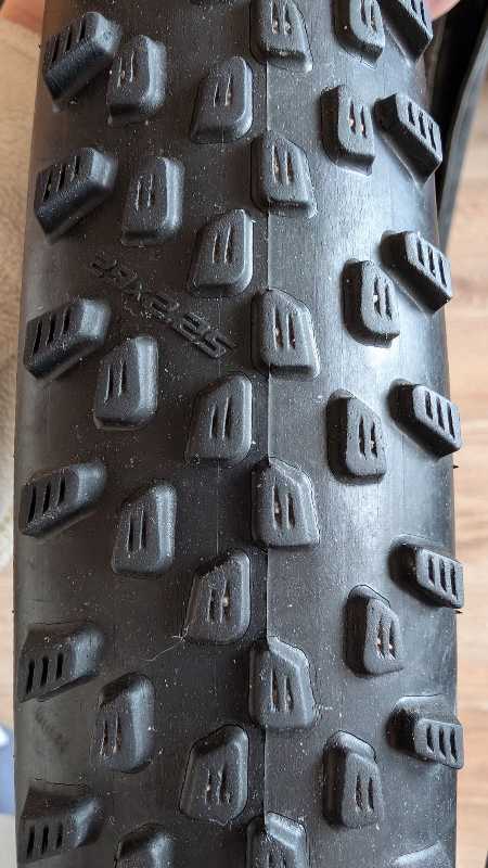 schwalbe racing ray/racing ralph 29*2.25