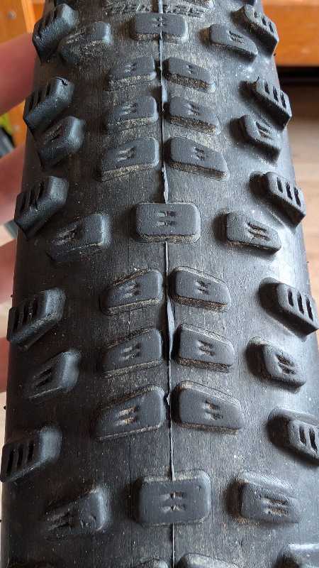 schwalbe racing ray/racing ralph 29*2.25