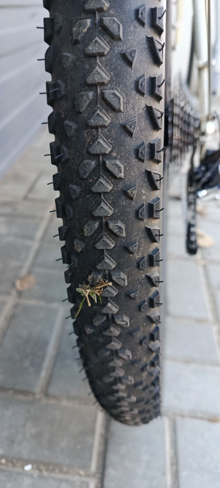 Shulz lone ranger 2022 рама L с документами