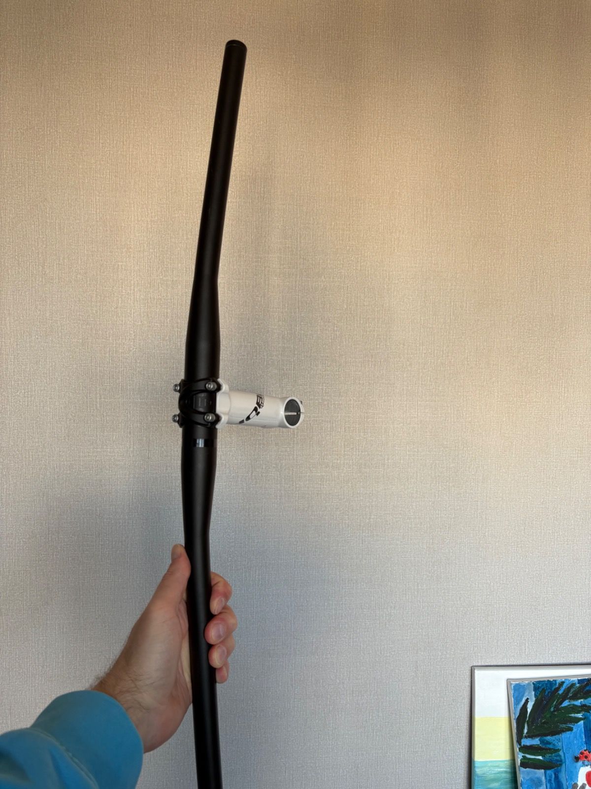 Вынос, руль