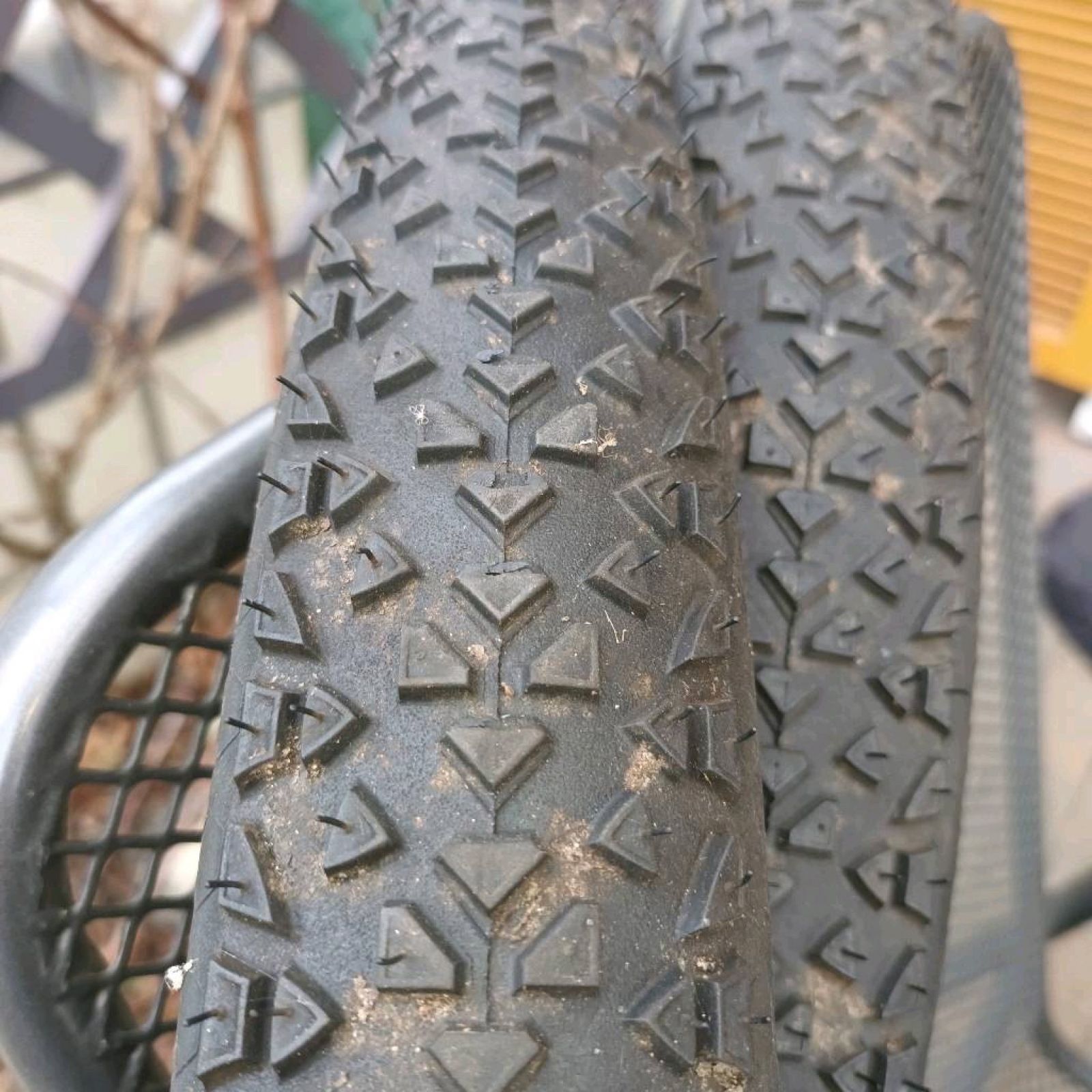 Continental raceking 29