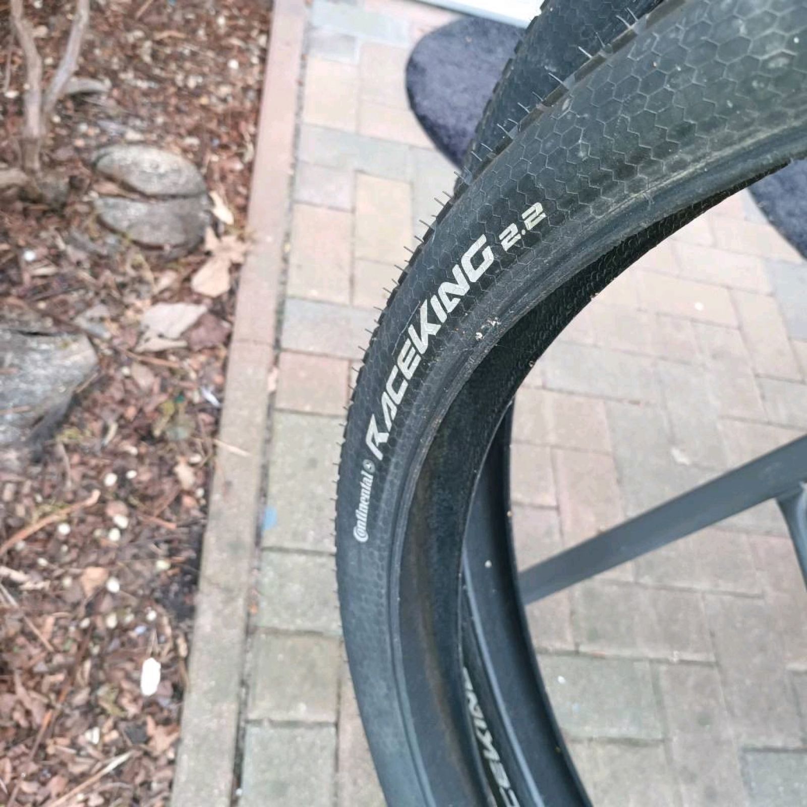 Continental raceking 29