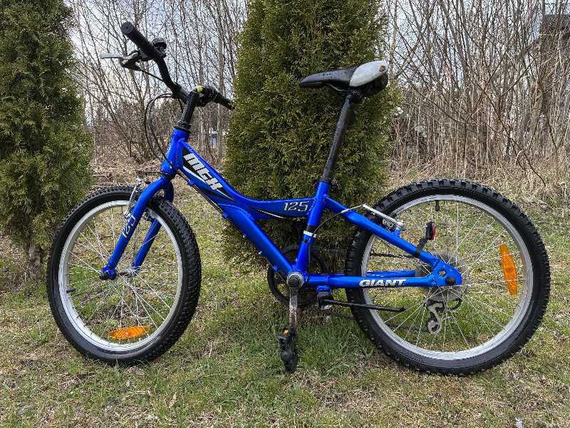Подростковый Детский Велосипед Giant MTX 125(Колеса 20'')