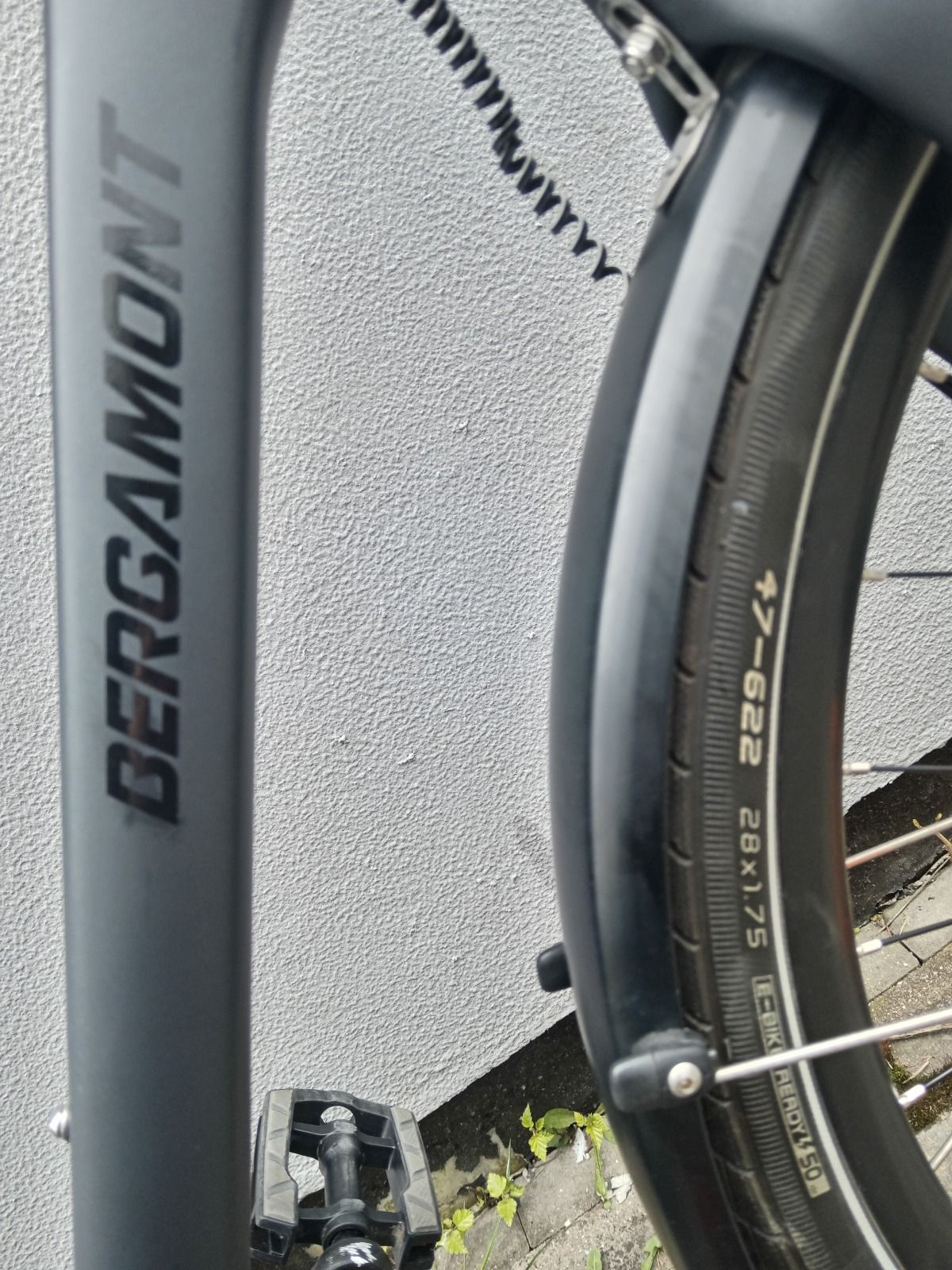 Bergamont vitess n8 belt 2024