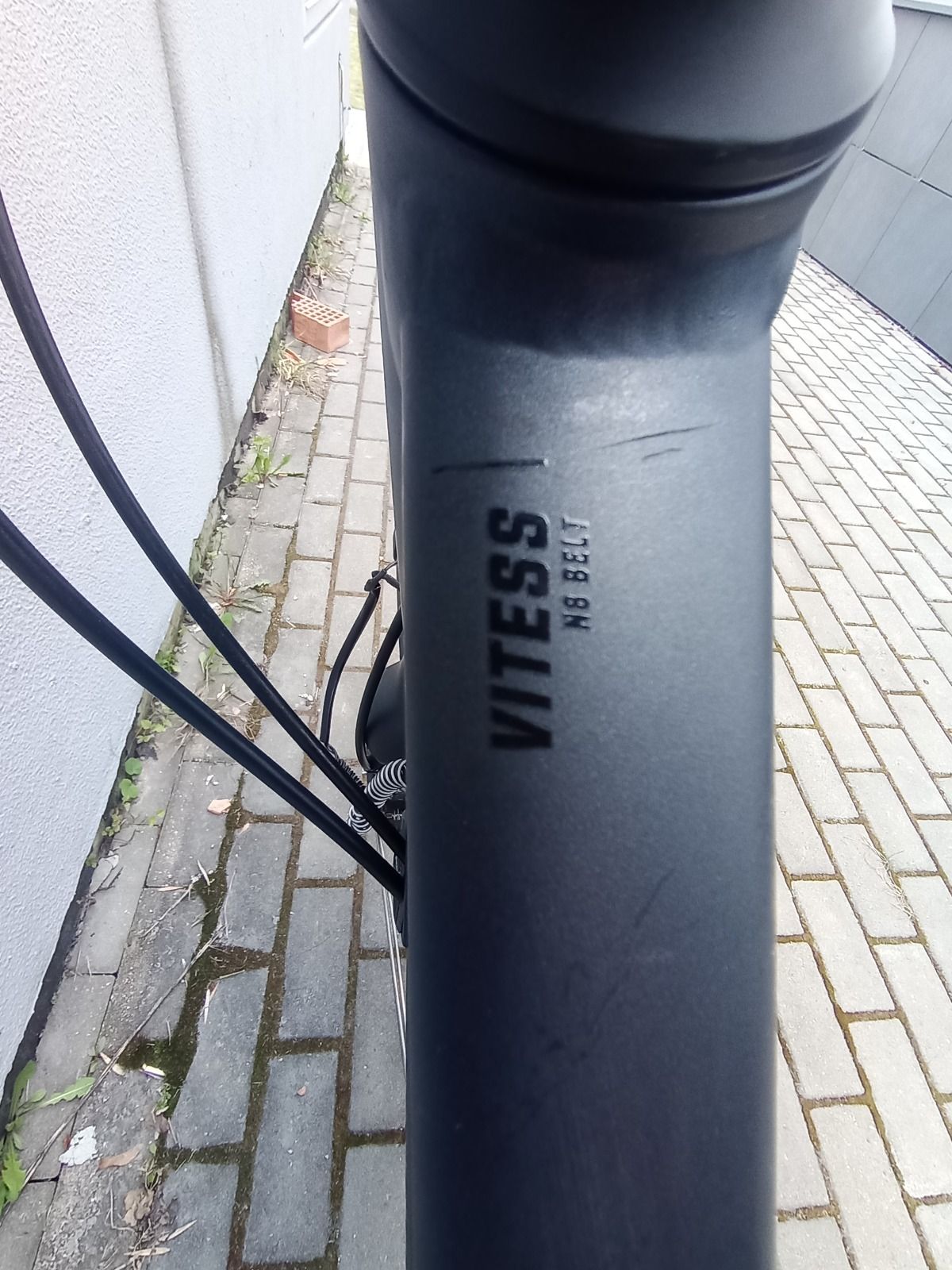 Bergamont vitess n8 belt 2024