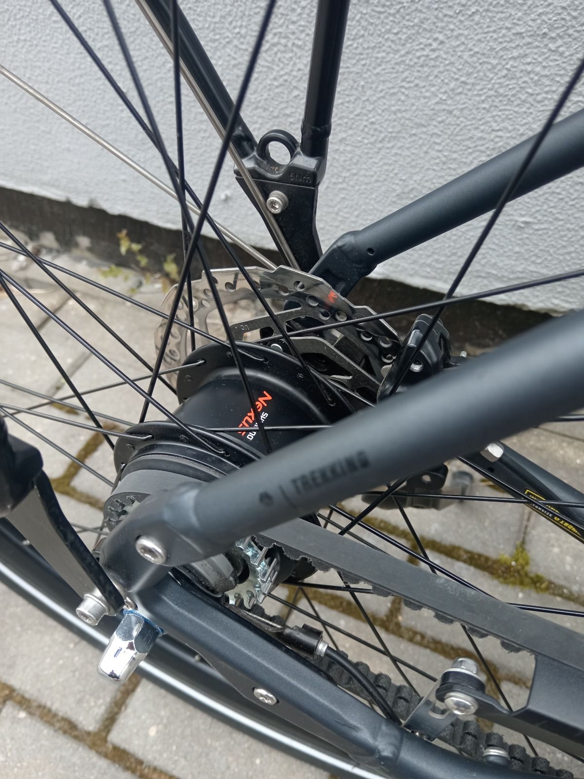 Bergamont vitess n8 belt 2024