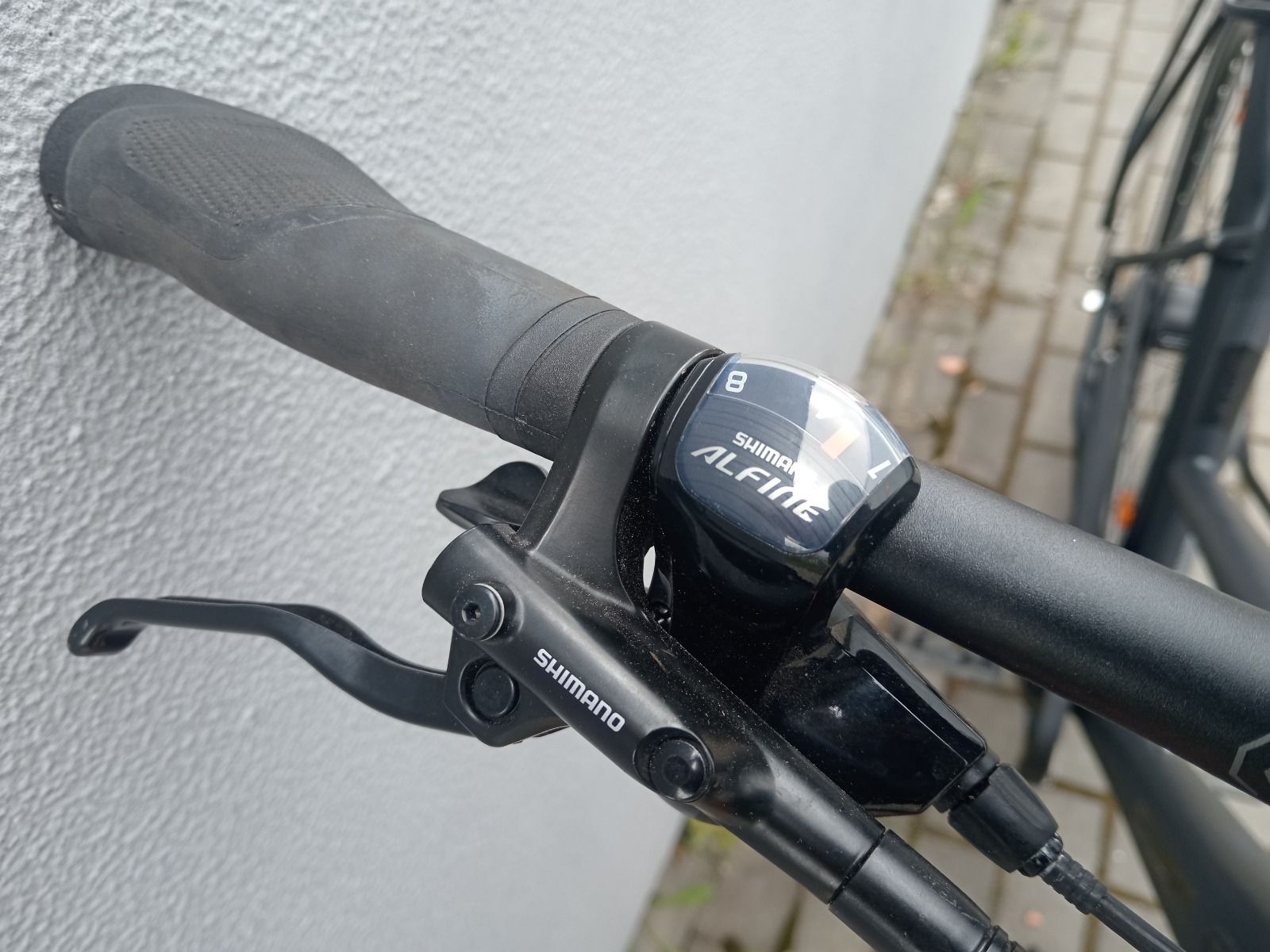 Bergamont vitess n8 belt 2024