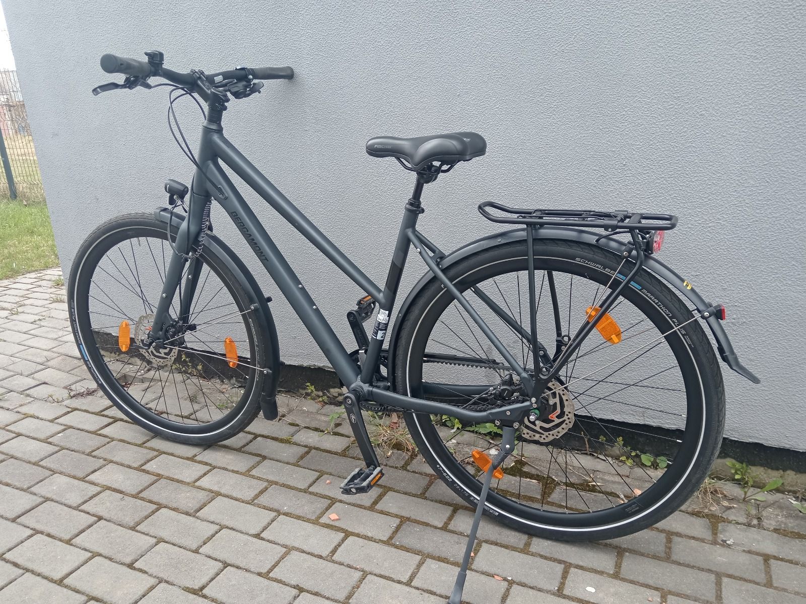 Bergamont vitess n8 belt 2024