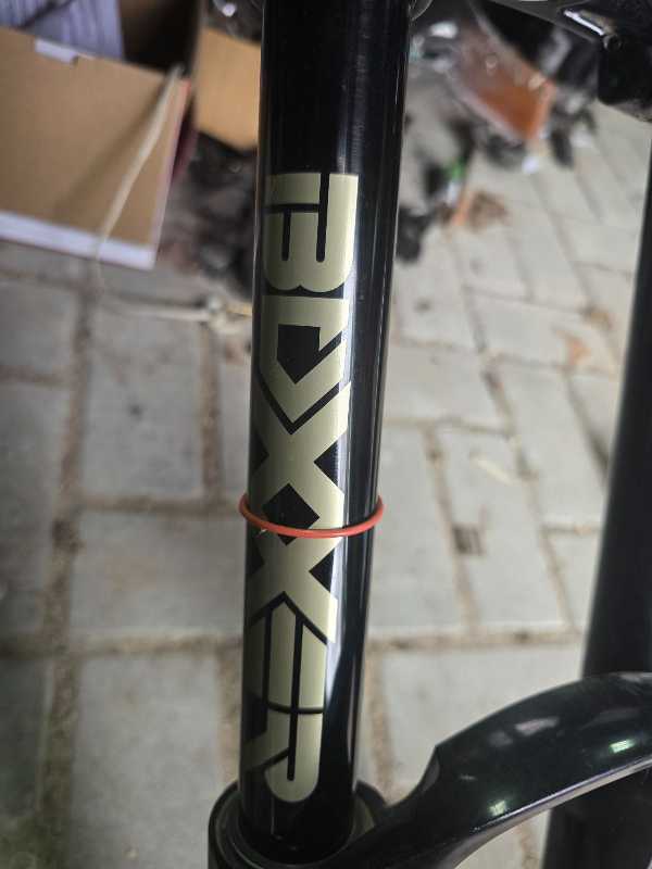 rs boxxer