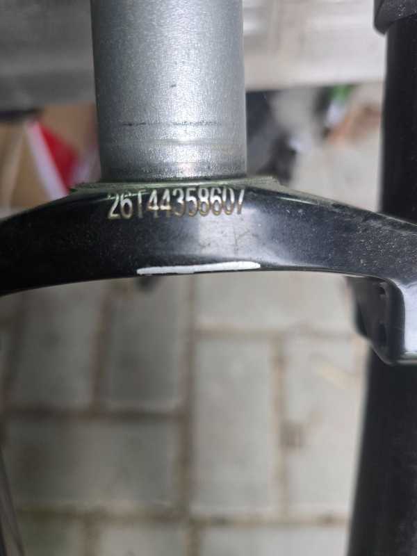 rs boxxer