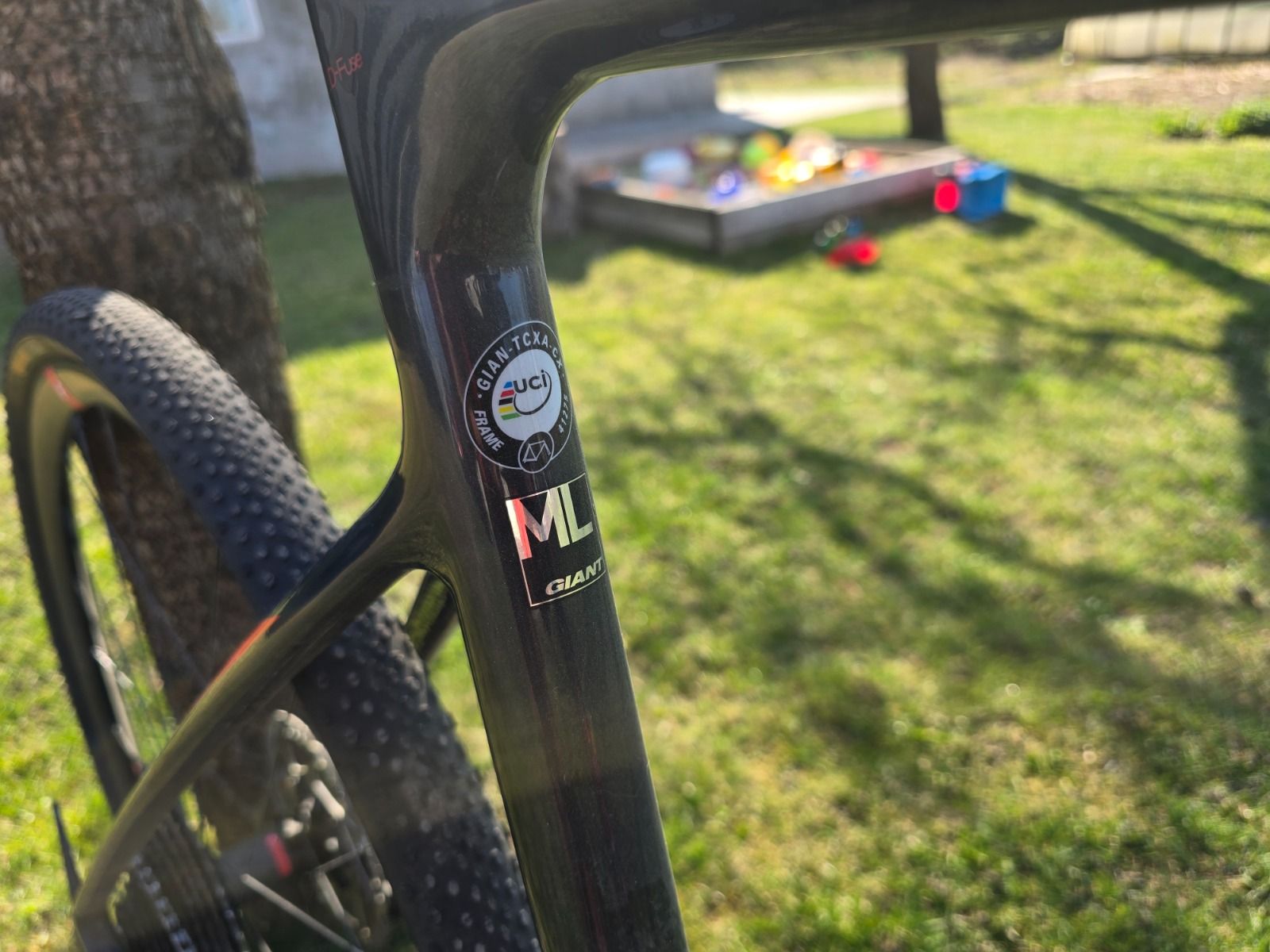 giant tcx