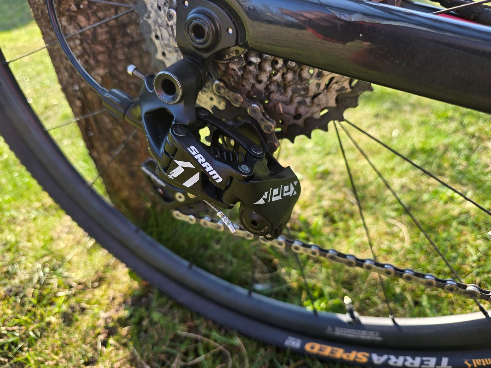 giant tcx