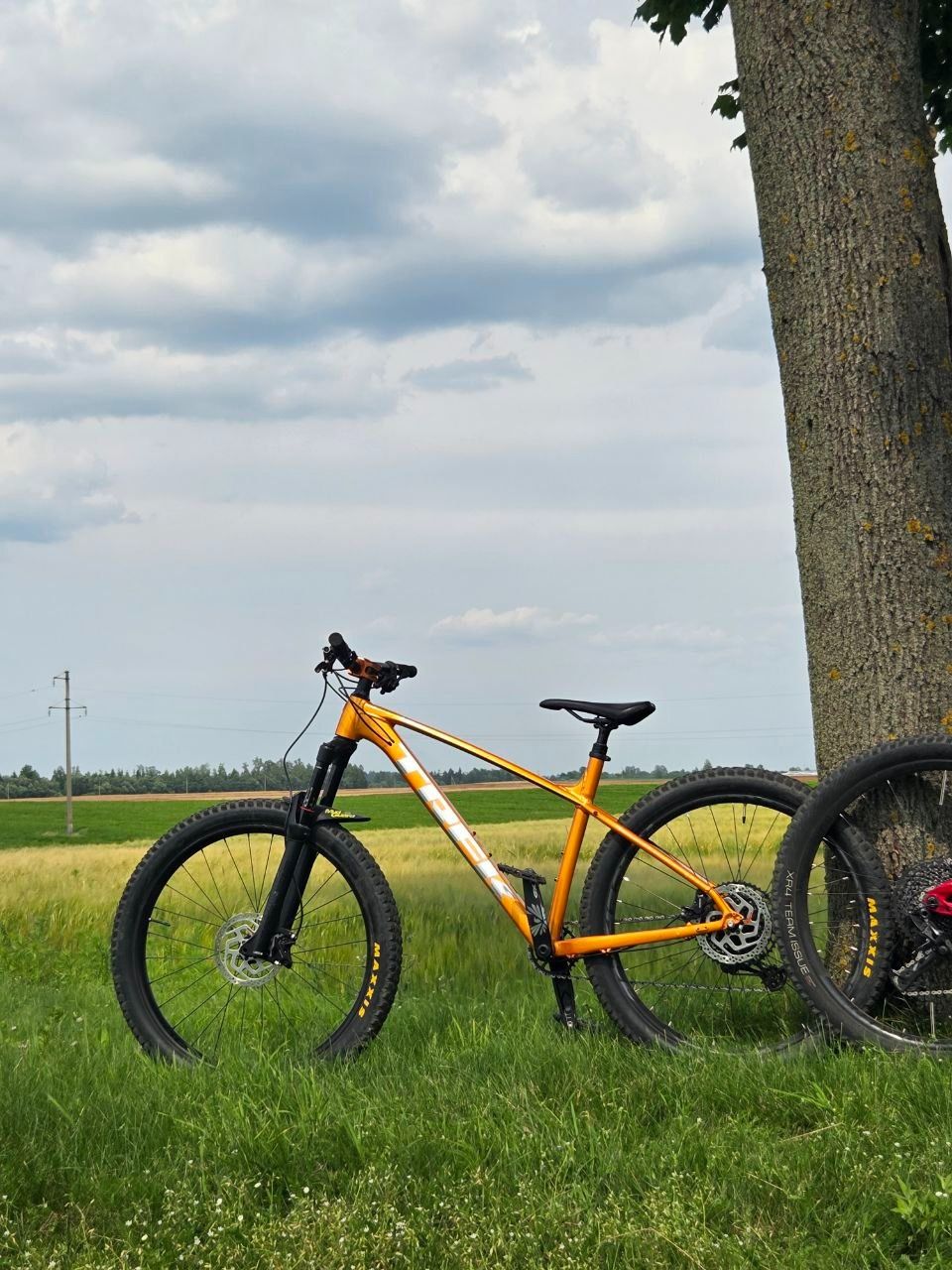 Trek Roscoe 7 2021 (M/L)