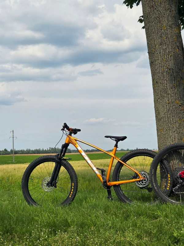 Trek Roscoe 7 2021 (M/L)