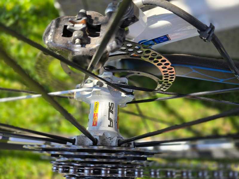orbea