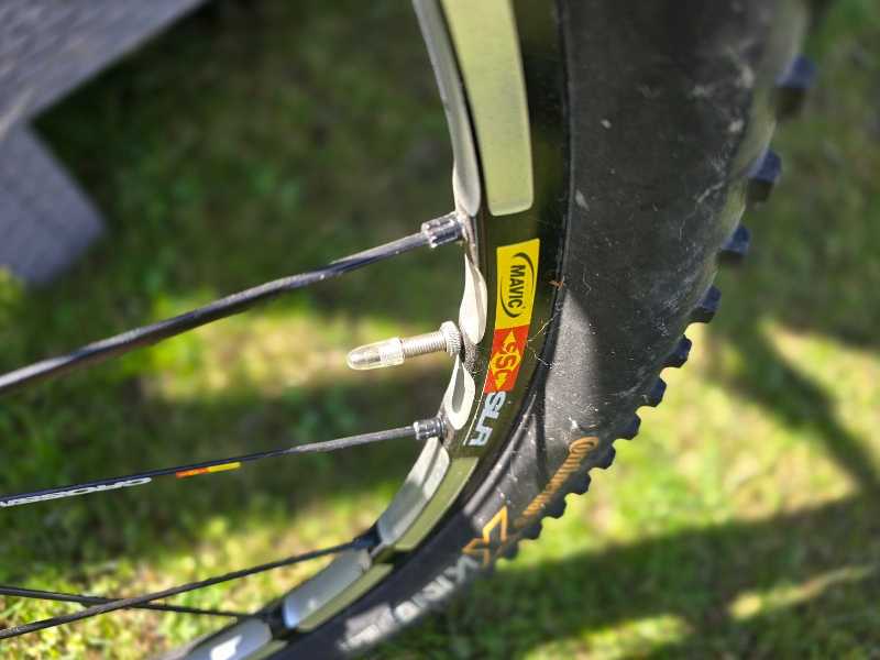 orbea