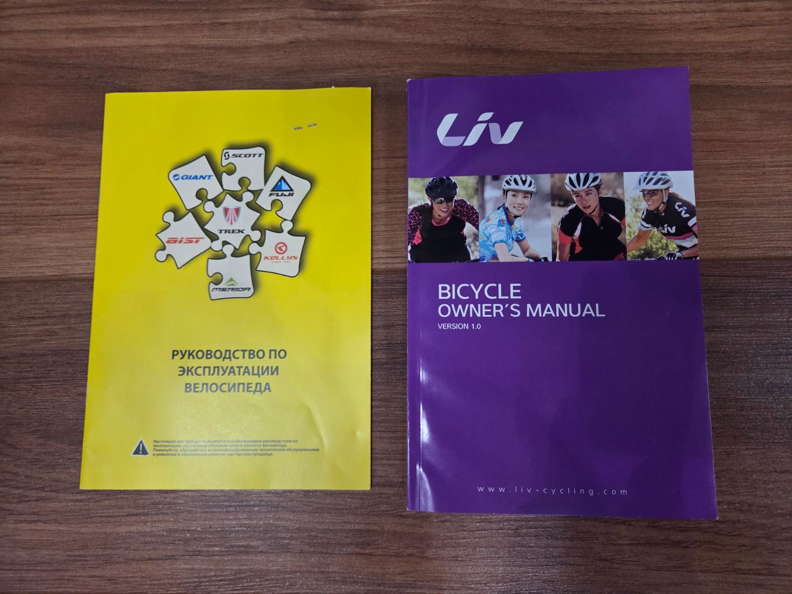 Велосипед Giant Liv Bliss 1 Disc 26 XS