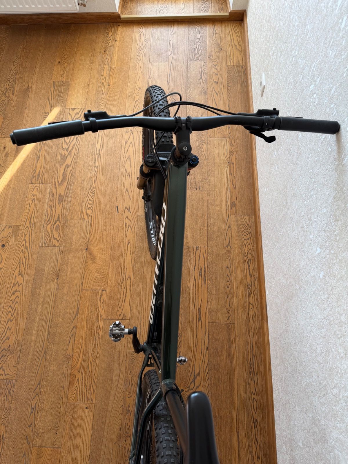 Specialized Rockhopper expert 29