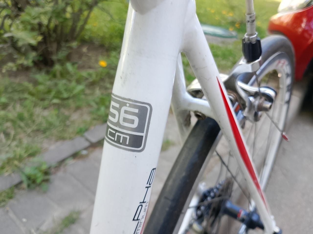 Trek, размер рамы 56
