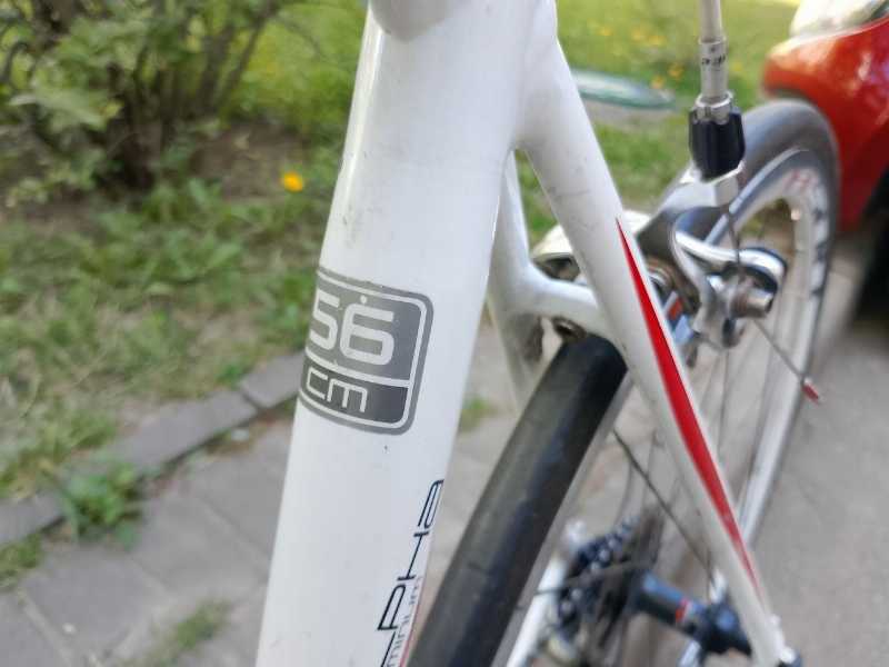 Trek, размер рамы 56