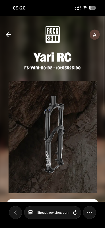 Rockshox yari 29”