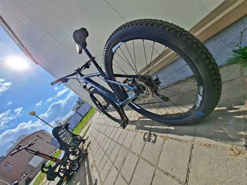 Giant