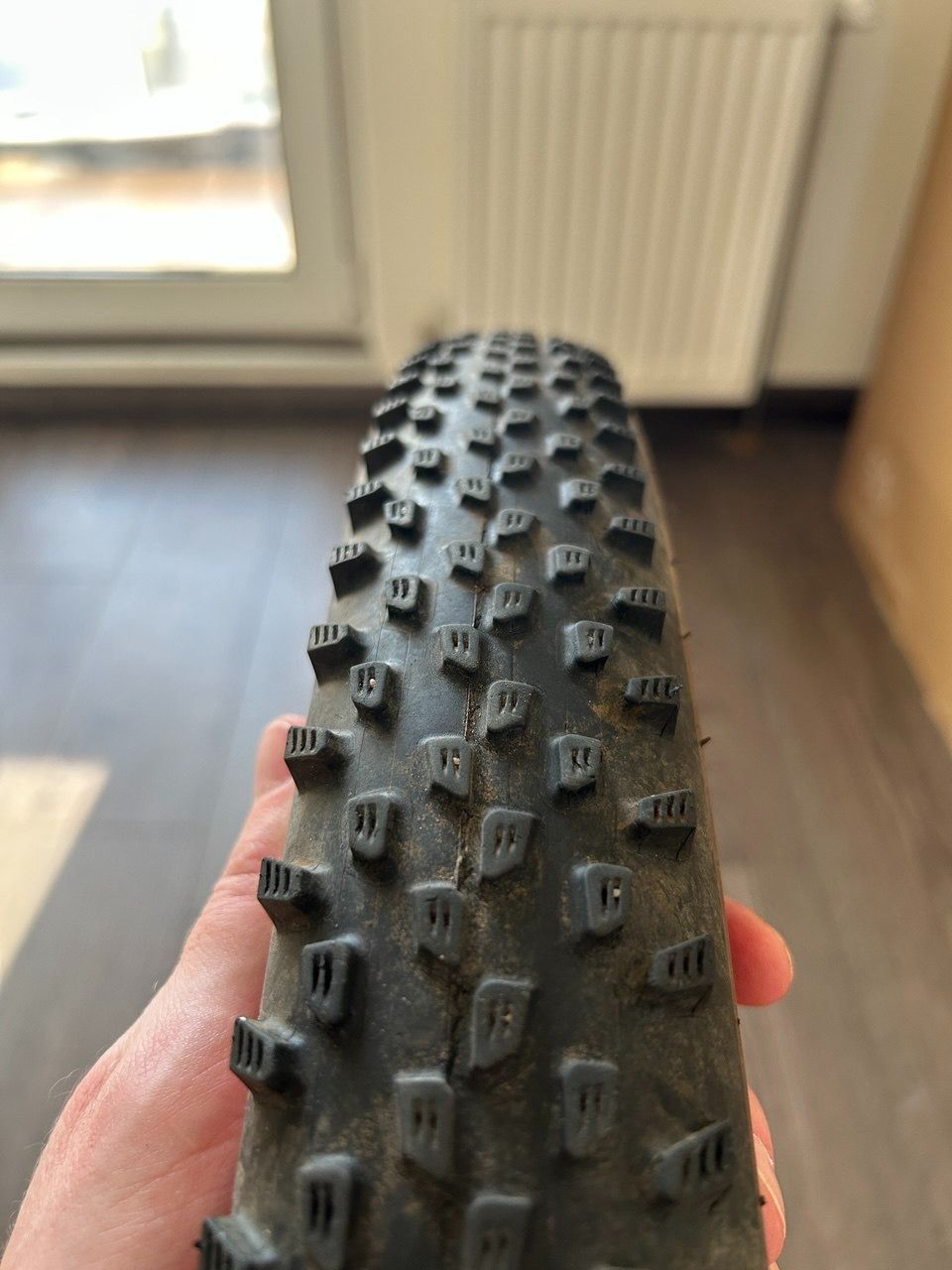 Пара Schwalbe Racing Ray+Racing Ralph 2.25