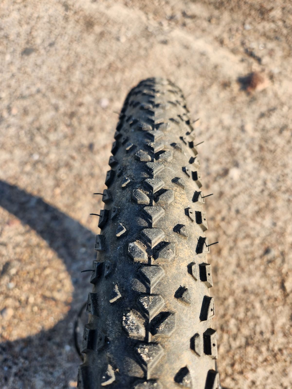 Trek Marlin 7 2021