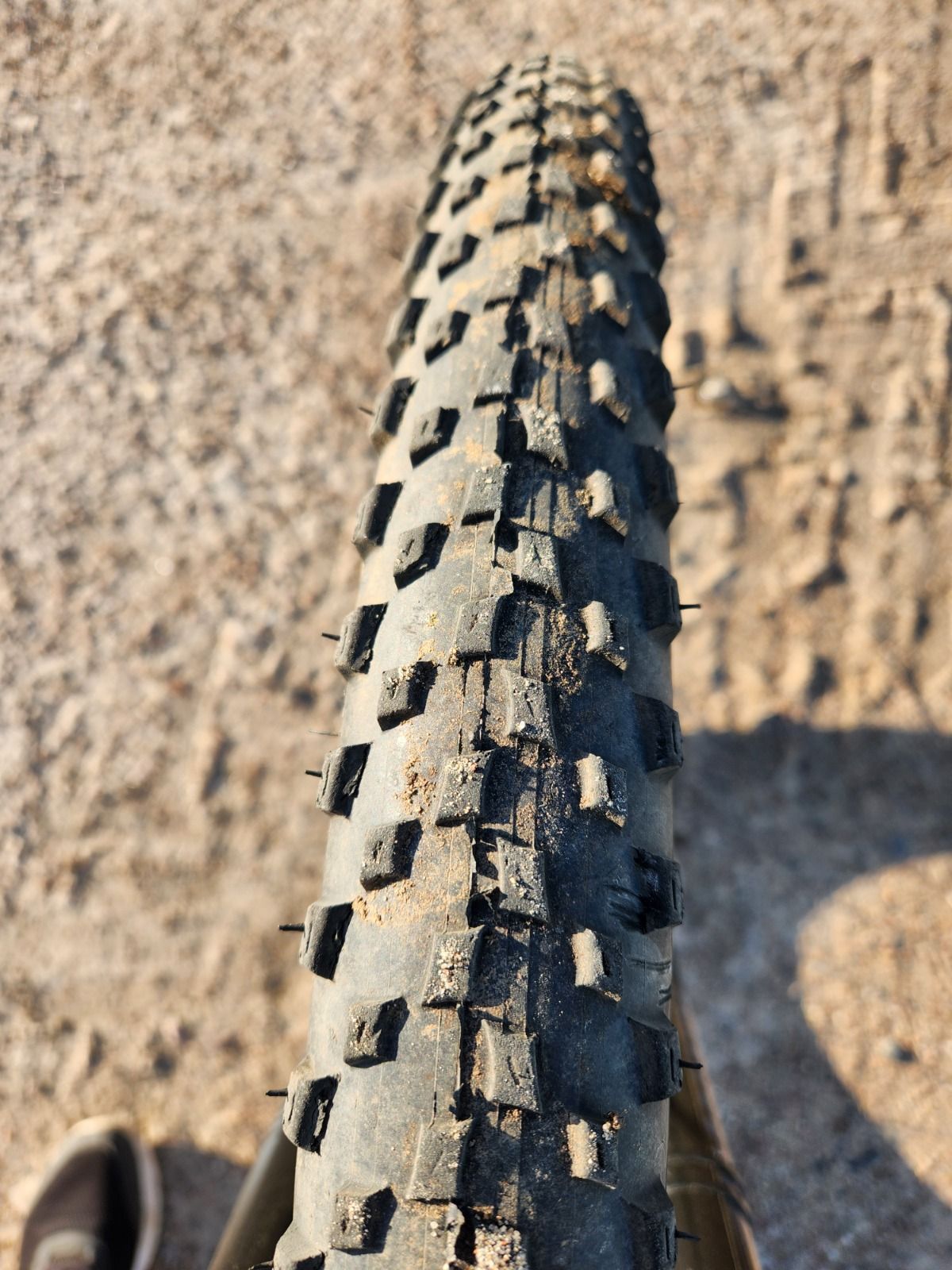 Trek Marlin 7 2021