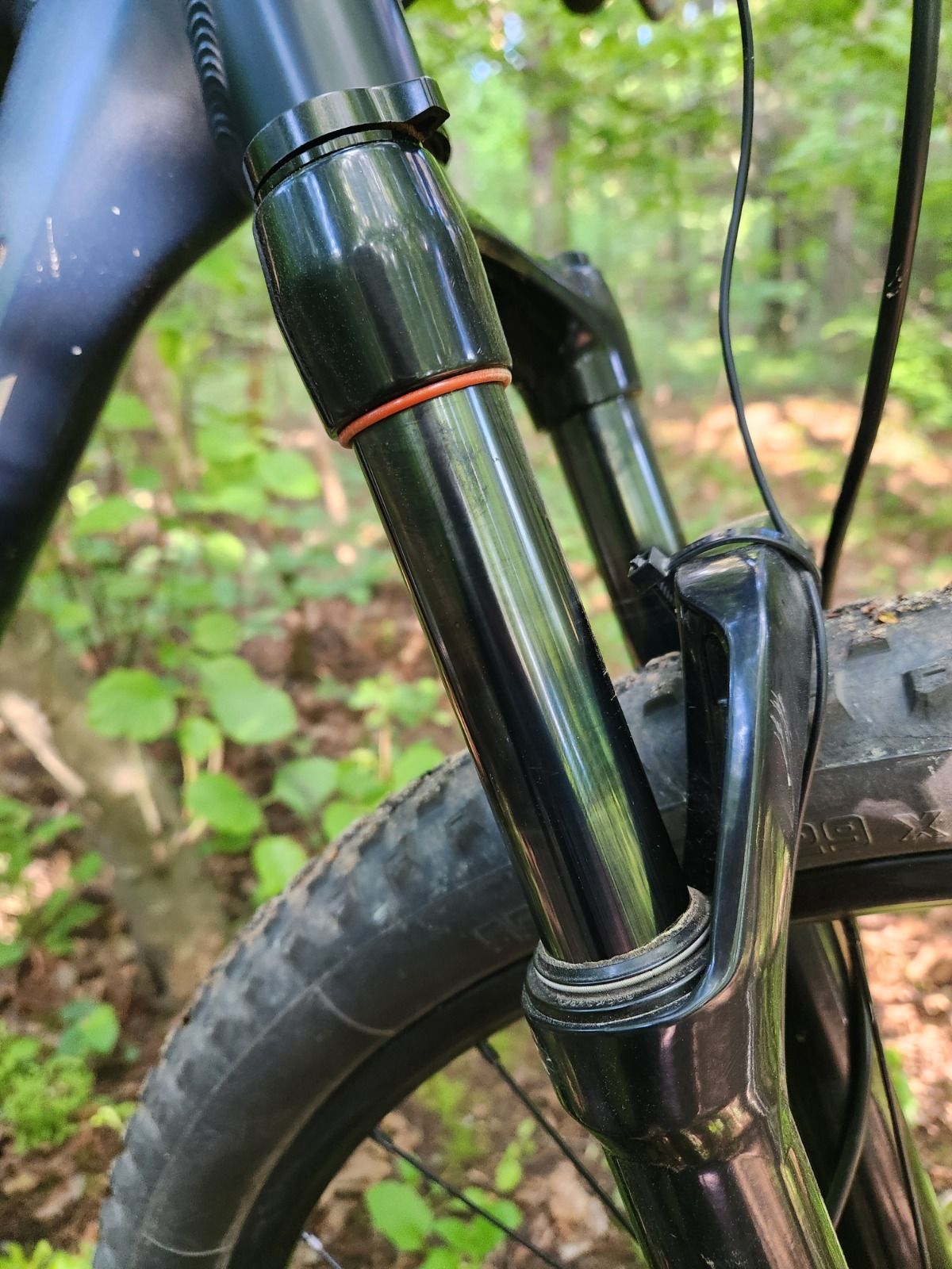 Trek Marlin 7 2021