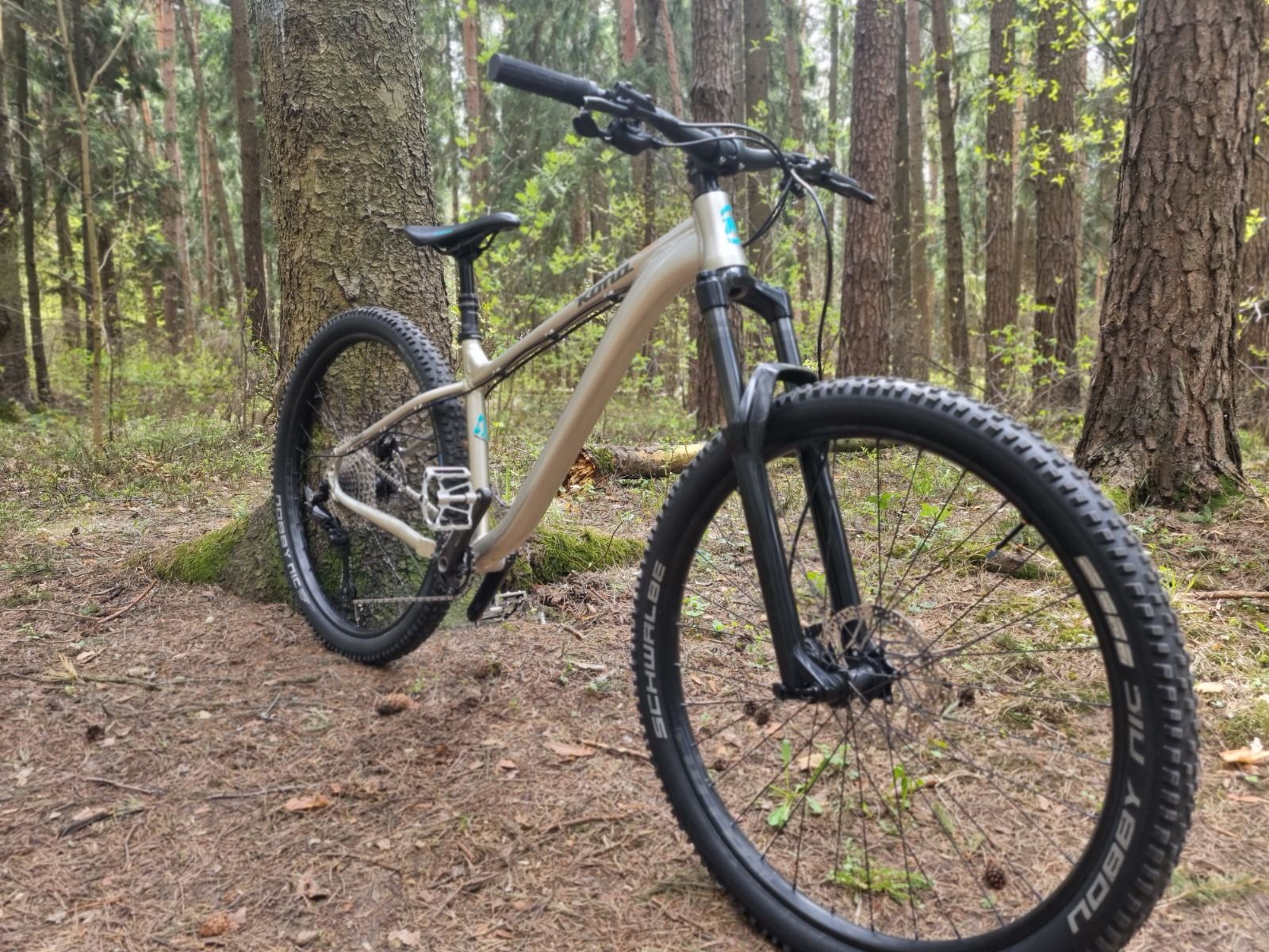 Kona Honzo 29 (2023)