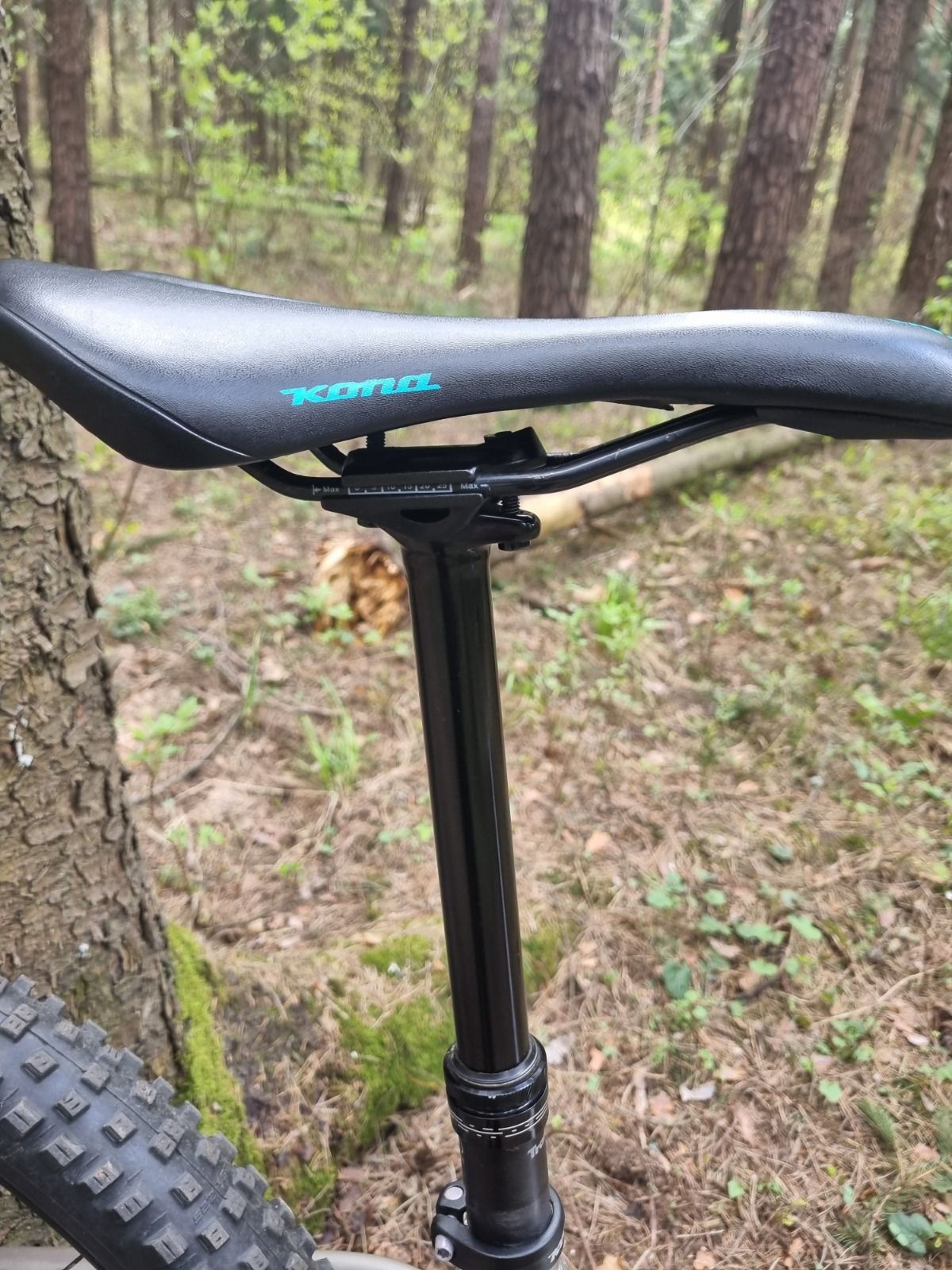 Kona Honzo 29 (2023)