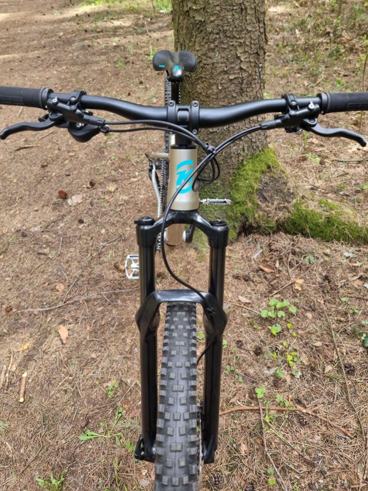 Kona Honzo 29 (2023)