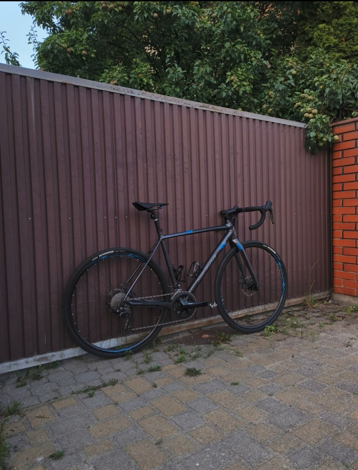 Gravel Merida Mission CX400