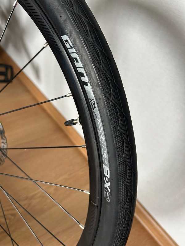 Giant Escape 2 Disc (XL) 2022г.