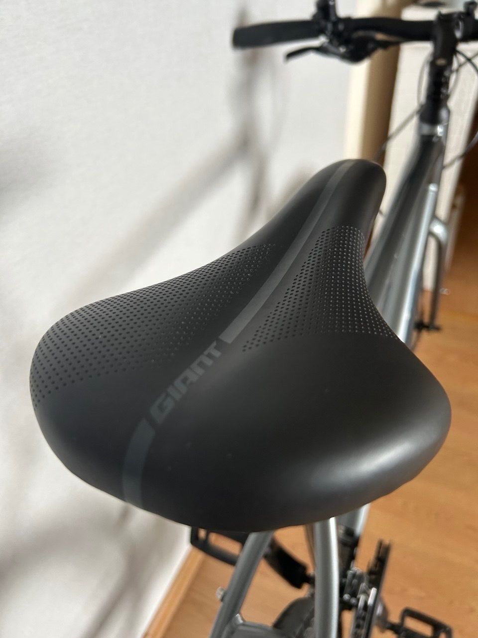 Giant Escape 2 Disc (XL) 2022г.