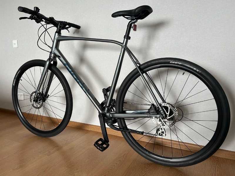 Giant Escape 2 Disc (XL) 2022г.