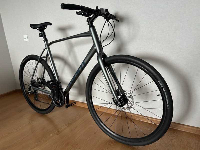 Giant Escape 2 Disc (XL) 2022г.