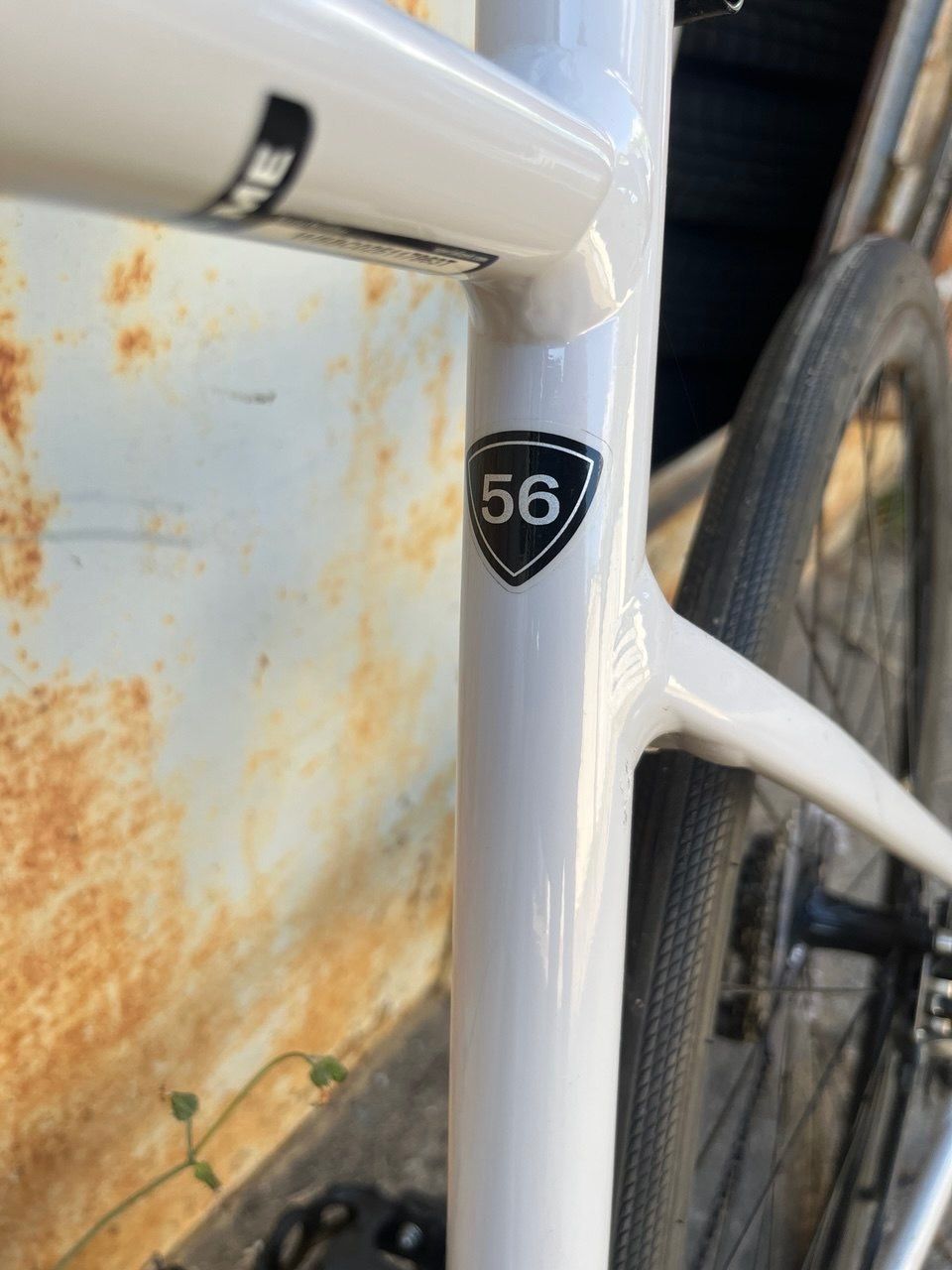 Шоссейный велосипед Specialized Allez E5 Disc (2024–2026), рама 56