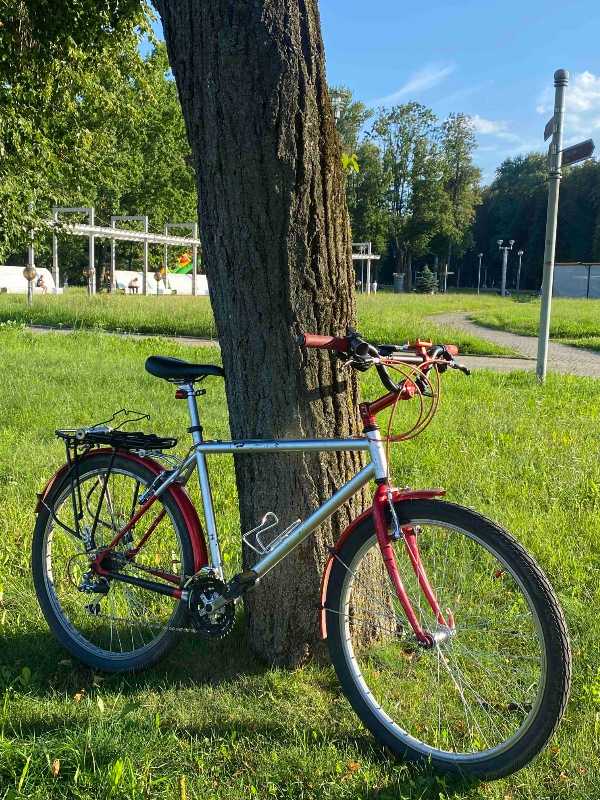 Old MTB Author mystic 19.5’