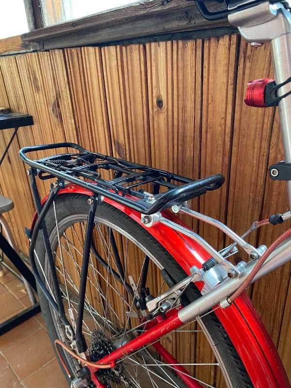 Old MTB Author mystic 19.5’