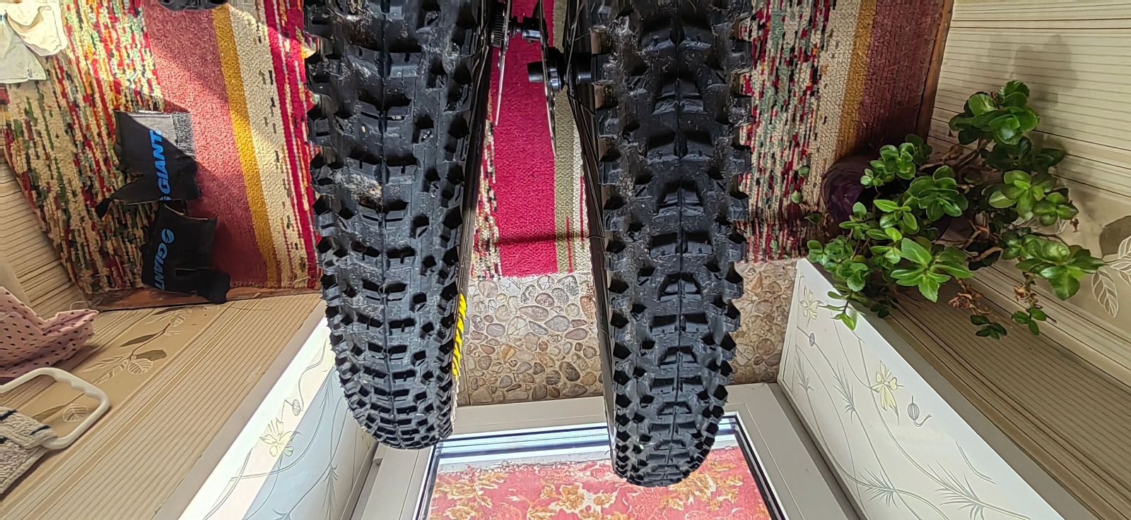 Колеса Orbea OC1 XC 25 (29)