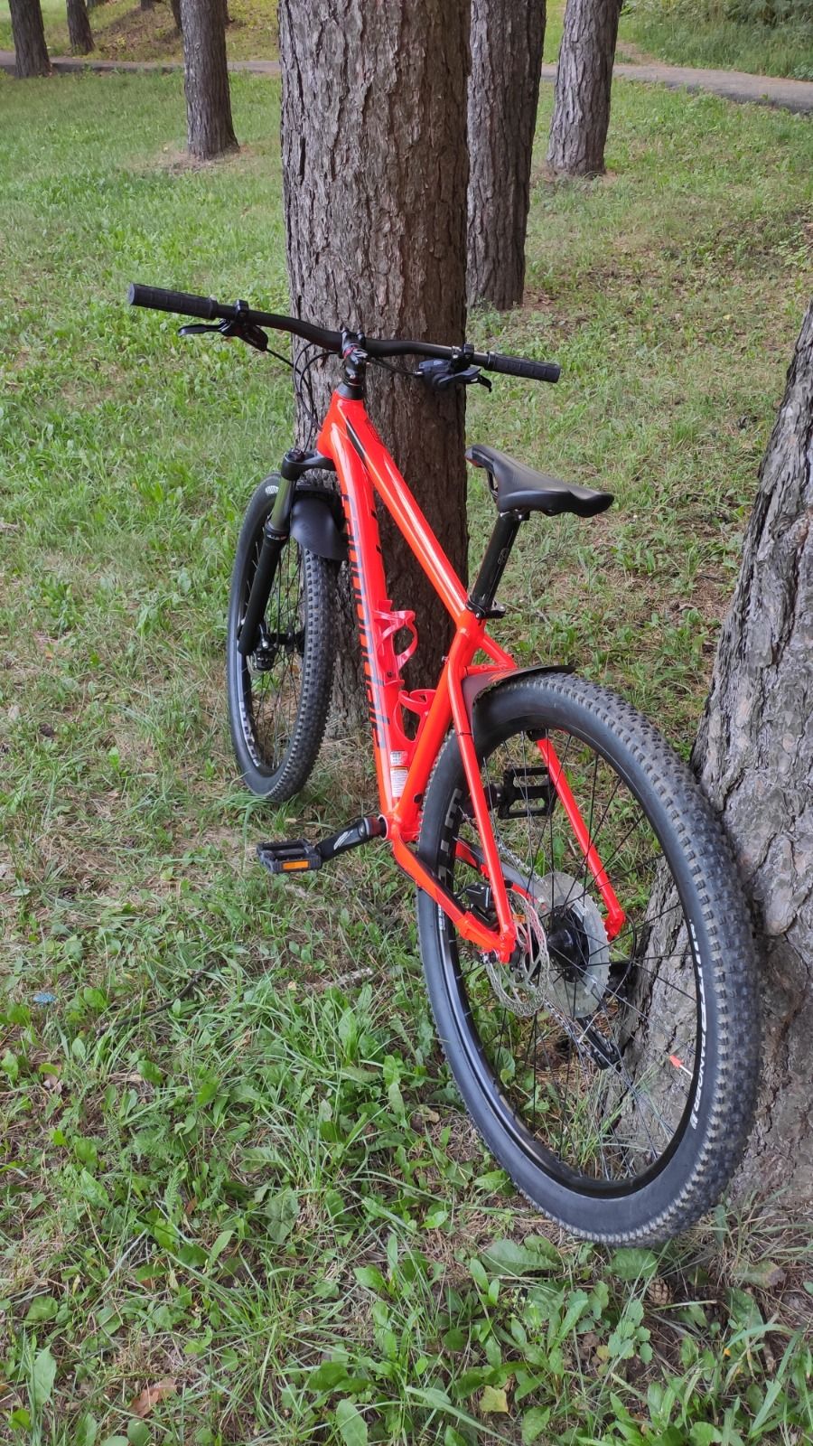 Cannondale Trail 5 2019г.